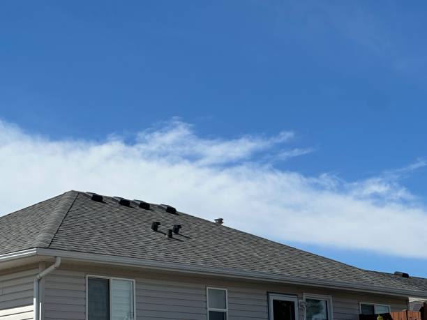 Fast & Reliable Emergency Roof Repairs in Lexington, OH